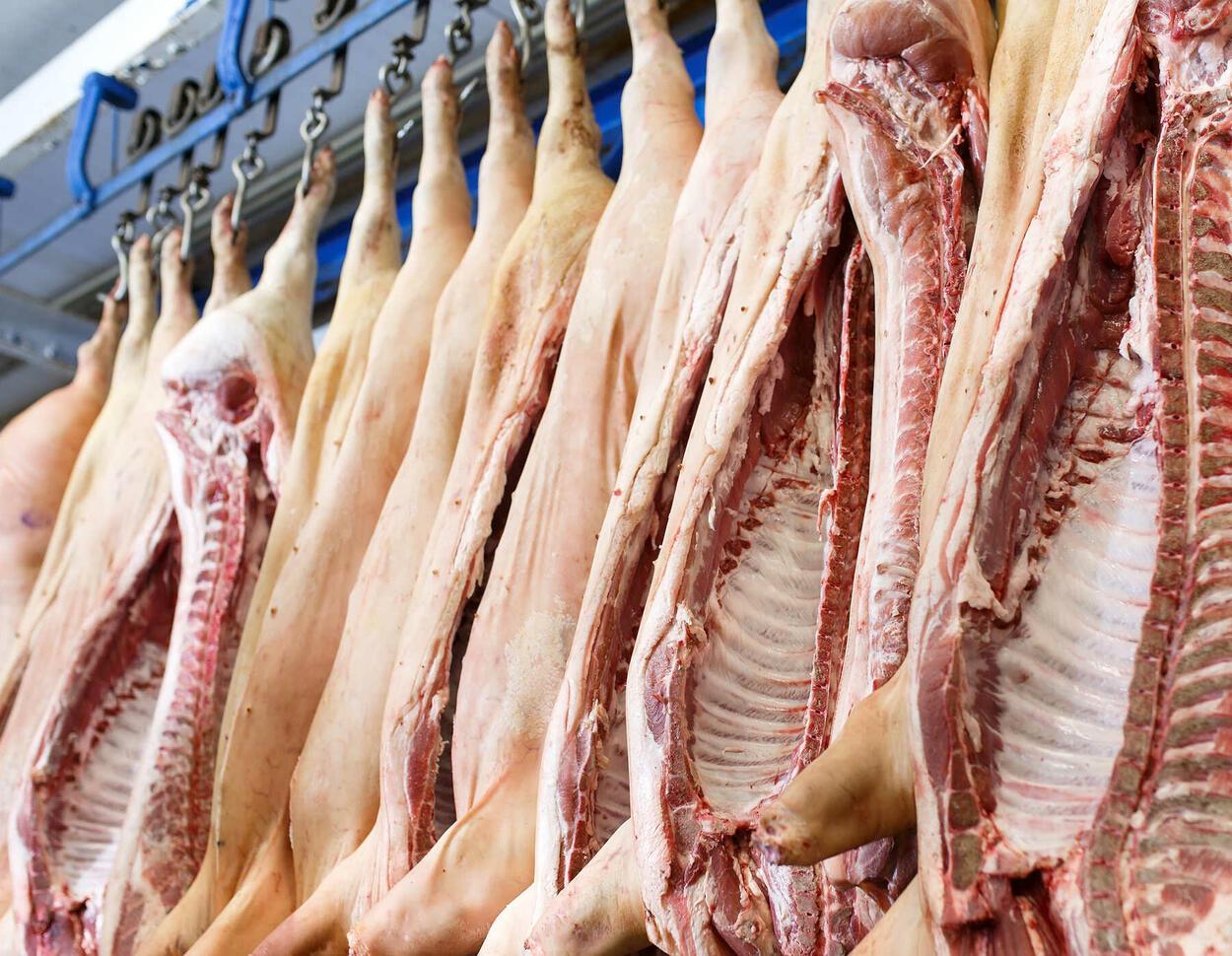 Westfleisch will in Coesfeld mehr Schweine schlachten – Plan liegt vor