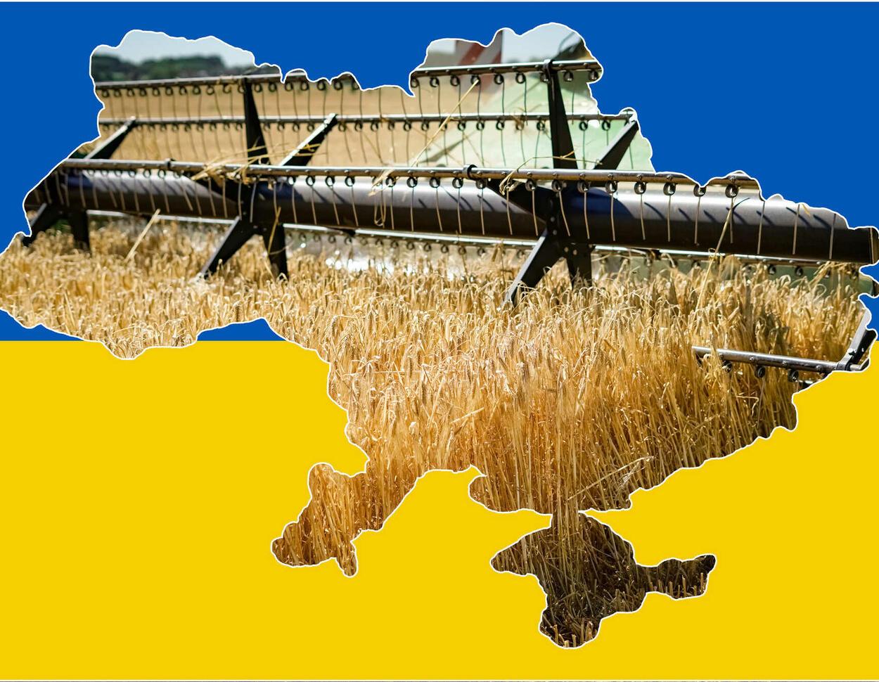 Russland stiehlt in der Ukraine Weizen im Wert von 1 Milliarde Dollar