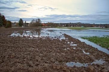 Neuer Regen kommt: Wo es Landwirte jetzt am schlimmsten trifft